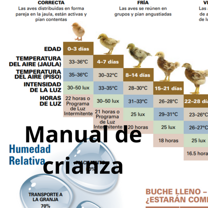 Registro Excel, vacunas, manuales, GALLINAS PONEDORAS